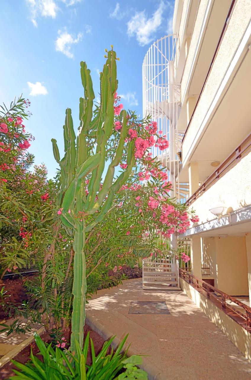 Apartamentos Los Juncos I Playa del Inglés Exterior foto